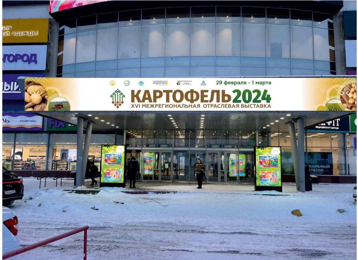 В выставке «Картофель-2024» примут участие более 20 регионов России —  Чувашинформ.рф